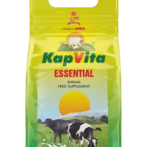 KapVita Essential