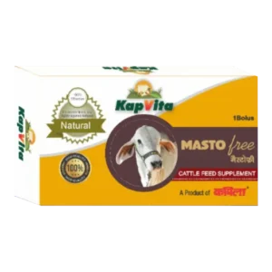 KapVita Masto Free Bolus
