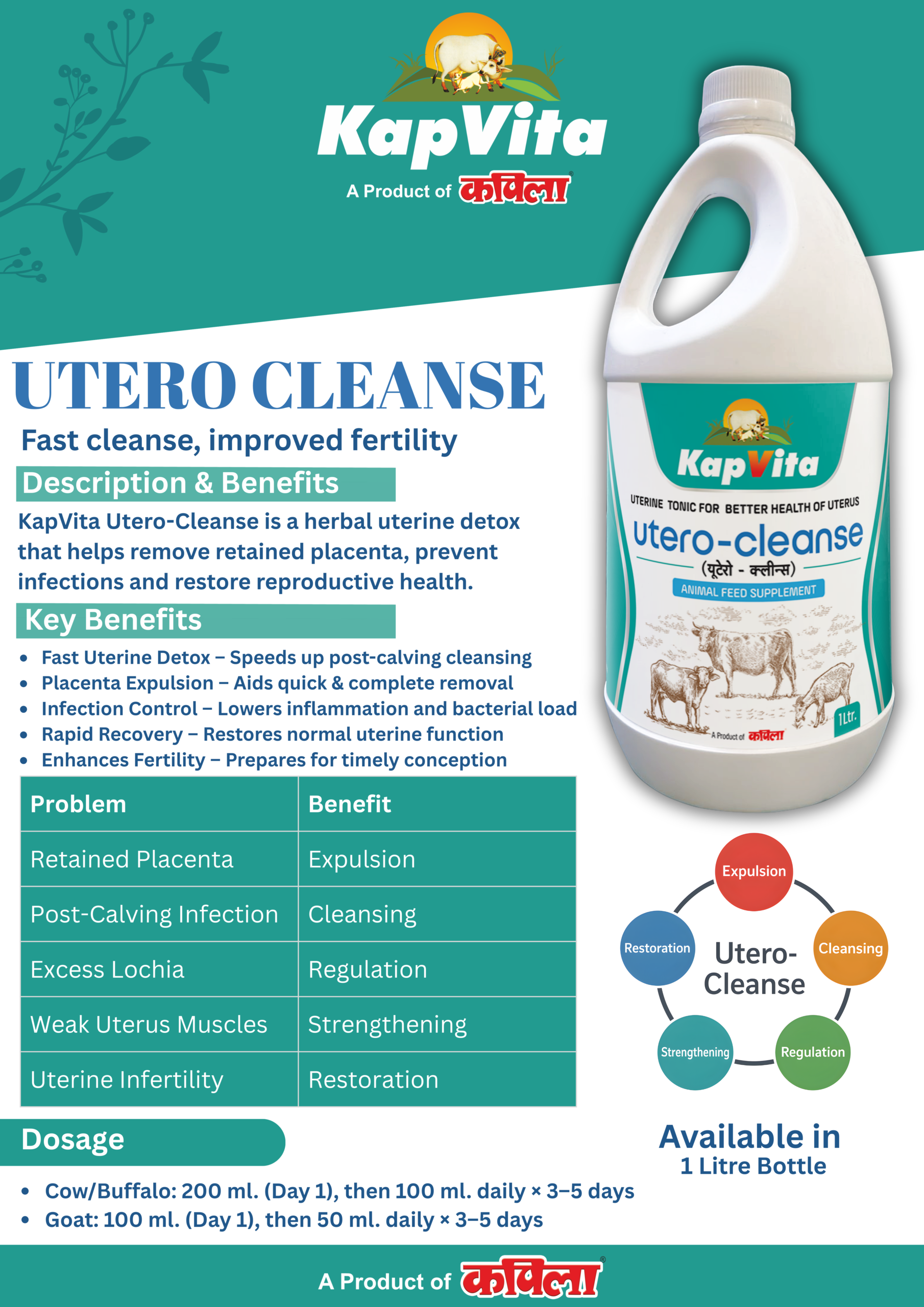 KapVita Utero-Cleanse - Image 2