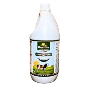 KapVita Liver Tonic